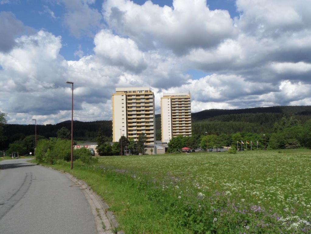 Ferienapartment Mit Schwimmbad Und Bergblick Браунлаге Экстерьер фото